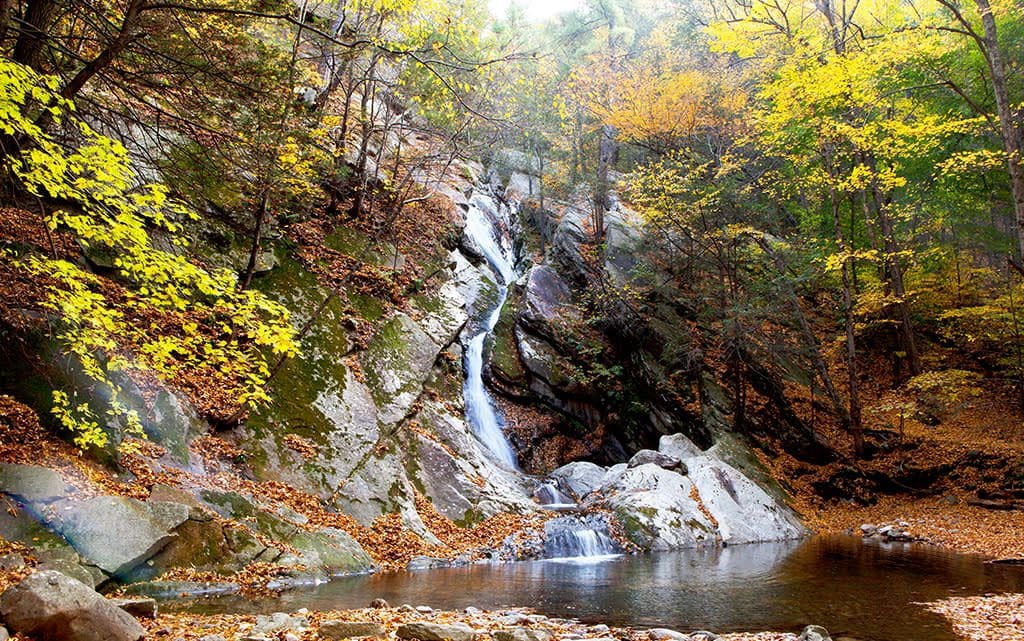 Honors Haven Waterfall jpg